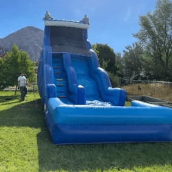 Dolphin Slide